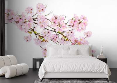 Fresh bright pink cherry blossom flowers on a tree branch in spring, sakura springtime season, isolated against a transparent background.	 Wall mural