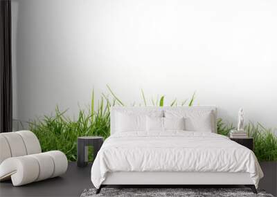 Fresh green grass isolated against a transparent background Wall mural