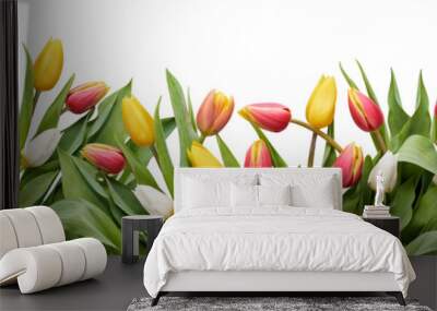 Red, yellow and white tulip flowers and leaves border isolated on a flat background. Wall mural