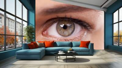 Model, closeup and green eye with makeup in studio and optic health with cosmetics or microblading. Woman, healthcare or color or cosmetic contact lens in optometry or ophthalmology for clear vision Wall mural