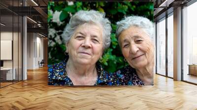 two happy smiling old ladies Wall mural