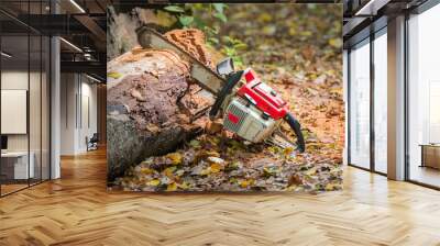  chainsaw and tree trunks Wall mural