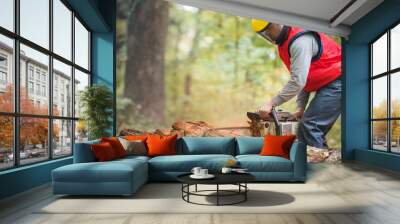 cutting a branch with chainsaw Wall mural