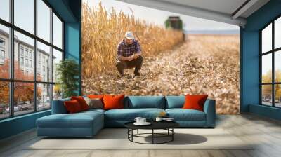 farmer in corn fields Wall mural