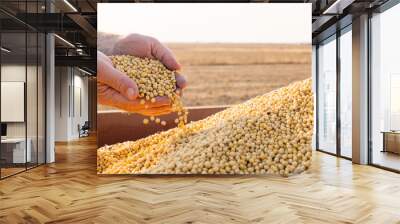 hands of peasant holding soy beans Wall mural