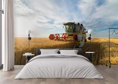 Harvesting of wheat fields in summer Wall mural