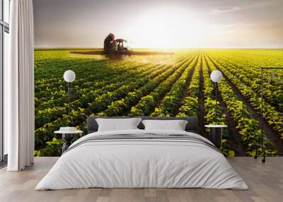 Tractor spraying pesticides at  soy bean field Wall mural