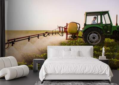 Tractor spraying soy field in sunset. Wall mural