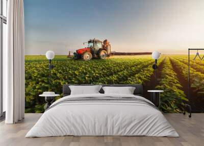 tractor spraying soybean field at spring Wall mural