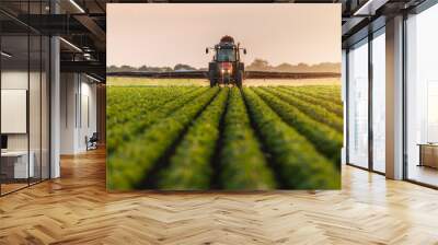 tractor spraying soybean field at spring Wall mural