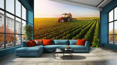 tractor spraying soybean field at spring Wall mural