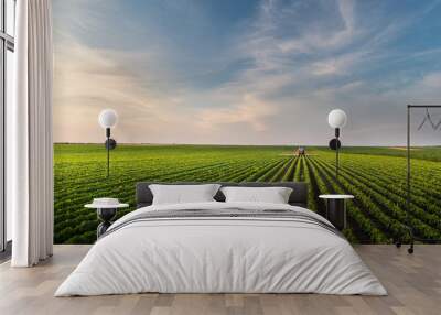 tractor spraying soybean field in sunset. Wall mural