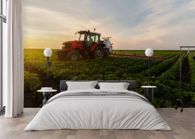 Tractor spraying soybean field in sunset Wall mural