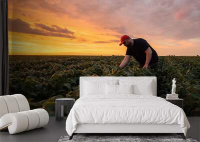 Young farmer in soybean fields Wall mural