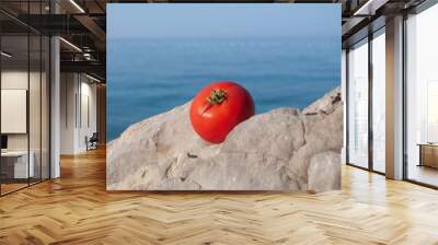 One tomato only on the cliff. Background of the sea. Wall mural