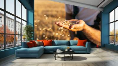 Close up of farmer holding wheat and checking grain in their hands. Wall mural