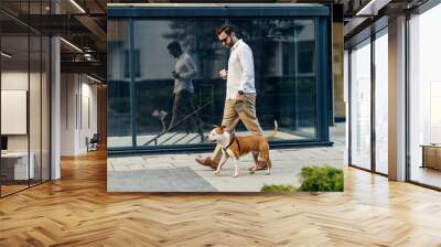 a businessman with sunglasses dressed smart casual is holding coffee to go and walking his dog in th Wall mural