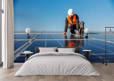 A handyman installing solar panels on the rooftop. Wall mural