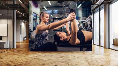 Side close up view of two young attractive focused sporty active girls while doing exercises with dumbbells on the bench in a team in the modern gym. Wall mural