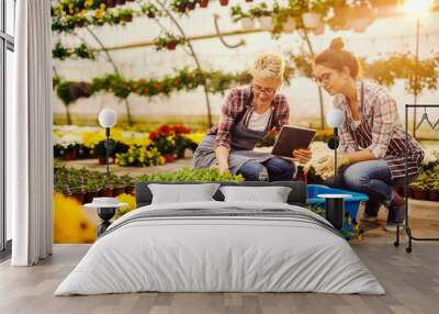 Two beautiful smiling female florists crouching making list of flowers by using tablet. Greenhouse interior. Wall mural