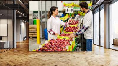 Two happy workers measuring apples on scales on conveyor belt in factory. Wall mural