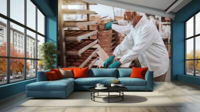 Two hardworking dedicated Caucasian employees dressed in white sterile uniforms collecting and packing cookies in boxes. Food plant interior. Wall mural