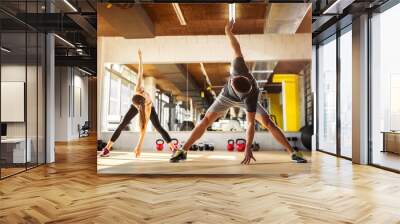 young sport lovers doing warm up exercise before workout at the gym. Wall mural