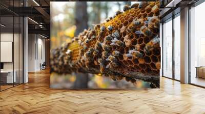 bee hive on a tree Wall mural