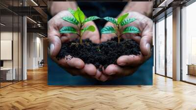 A person is holding a green plant in their hands. Wall mural