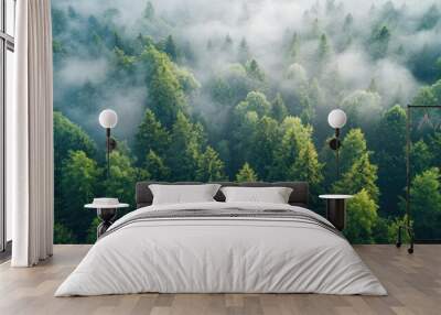 Aerial view of beautiful forest with conifer trees in morning The role of corporate responsibility in carbon offset strategies for carbon neutrality.. Wall mural