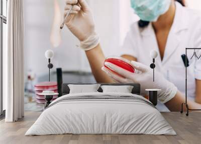 Close up shot of chemistry scientist working in laboratory. Wall mural