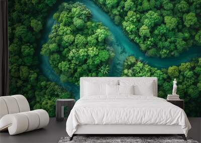 Top down aerial view of a jungle river system Wall mural