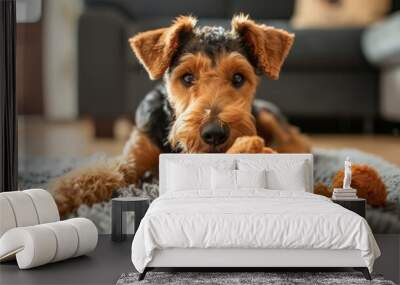 a warm and engaging portrait of an airedale terrier puppy with its beloved stuffed teddy bear, highl Wall mural