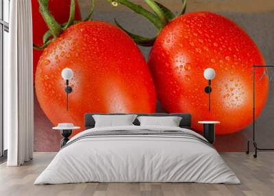 Tomato branch with two juicy red tomatoes overhead view Wall mural