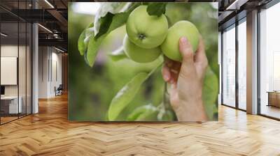 Apple Wall mural