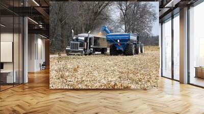 A tractor pulling a grain cart unloading corn into a semi truck grain hauler at harvest time Wall mural