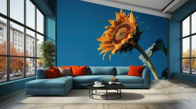 sunflower against blue sky Wall mural