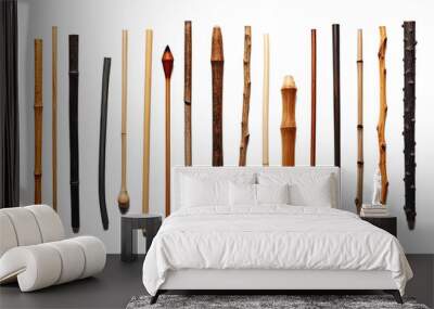 Different wood rod, stick types collection photorealistic isolated white and transparent background generative ai Wall mural