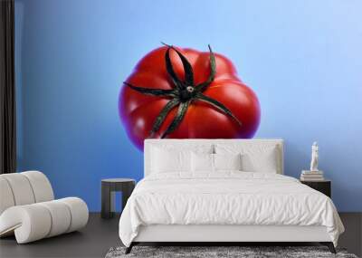 One Red Tomato isolated on light blue background Wall mural