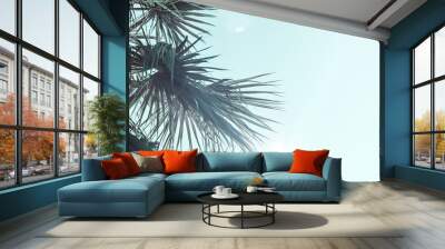 Branches of palm tree toned in neo mint color Wall mural