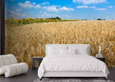 Ripe Cereal field Wall mural