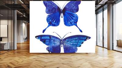 two blue butterflies Wall mural