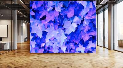 natural leaves pattern toned in trendy neon colors Wall mural