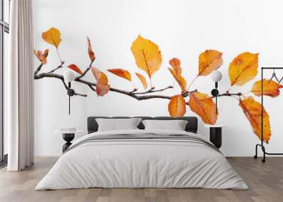 Autumn branch cutout isolated on white or transparent background Wall mural