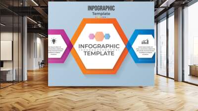 Vector infographic template for diagram, graph, presentation, chart, business concept with 2 options Wall mural