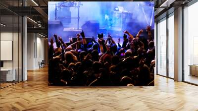 Cheering crowd at concert Wall mural