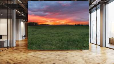 A breathtaking fiery sunset paints the sky in vibrant hues of orange and red with dramatic cloudscape over a vast green meadow in North Brabant the Netherlands. Wall mural