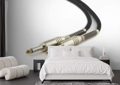 black audio instrumental cable with two plugs isolated close up Wall mural