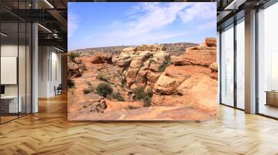 Typical landscape and rock forms in Dana Biosphere Nature Reserve National Park, Jordan Wall mural