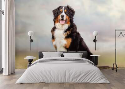 happy dog ​​has a great time Wall mural